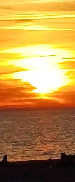 Apartament na Bursztynowej