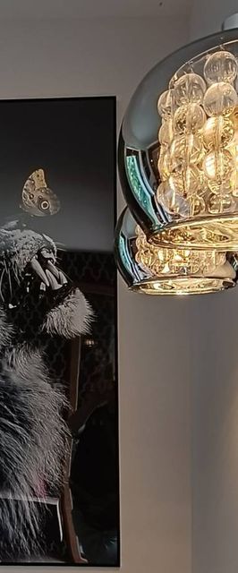 Aster Aparts Wyspa Sobieszewska 