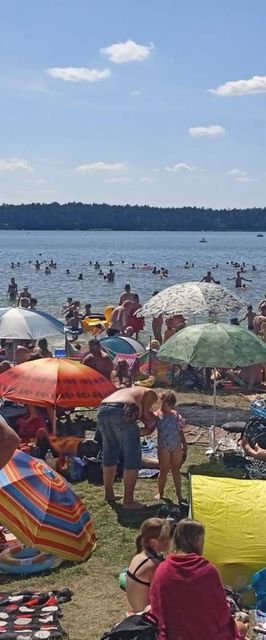 Domki Letniskowe i Pokoje Gminny Ośrodek Sportu i Rekreacji 