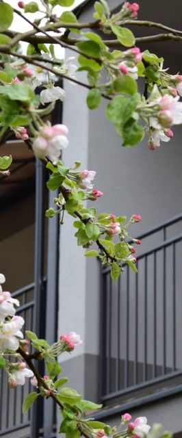 Ośrodek Wczasowo Wypoczynkowy Słoneczny Brzeg