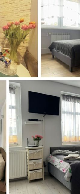 Apartamenty Dagma
