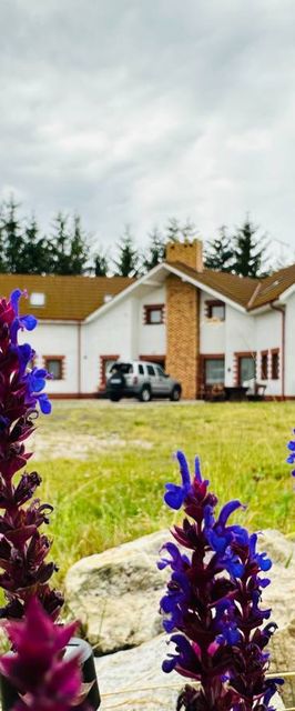 Między Nami a Sosnami Uniejów