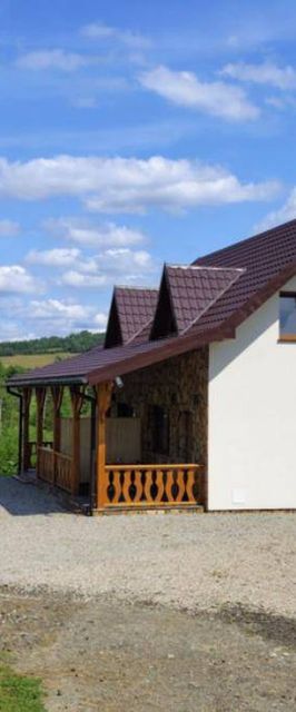 Bliźniak nad stawem