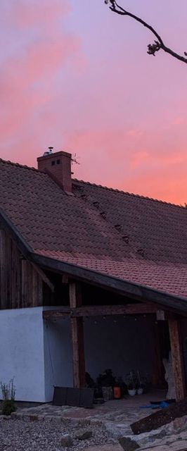 Król Puszczy nad jeziorem Mokre