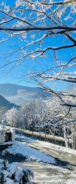 Dwupoziomowe Apartamenty Leszczyna