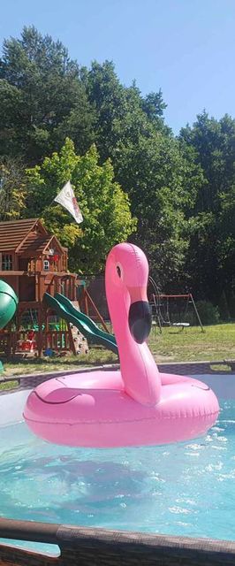 Kurdybanek - Domki letniskowe