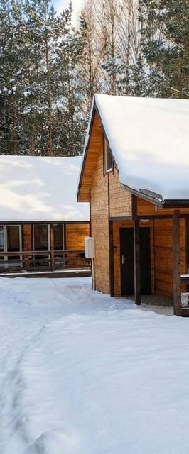 Zagajnik Białowieża