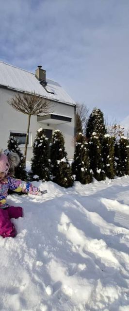 Domki Cisza i Spokój