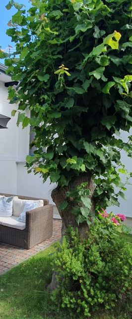 Azur Domki Pokoje Przyczepy kempingowe