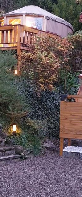 Domki i Jurta u Leśniczki