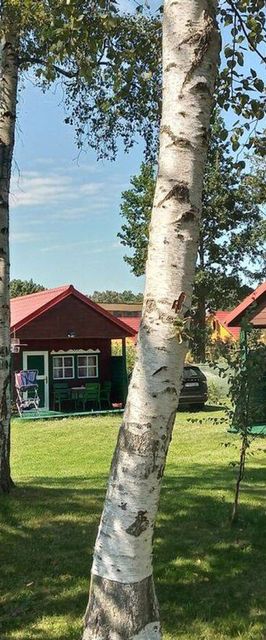 Pergola - Domki i Mieszkania Wakacyjne