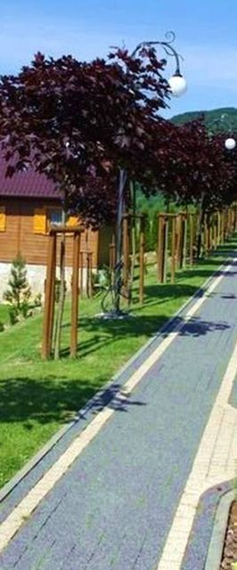 Domki, apartamenty i pokoje Jaworina