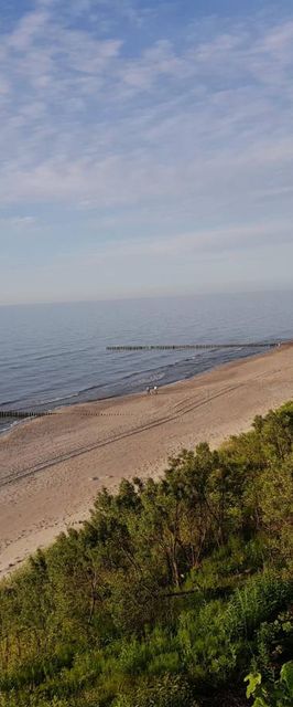 Domki angielskie Alex