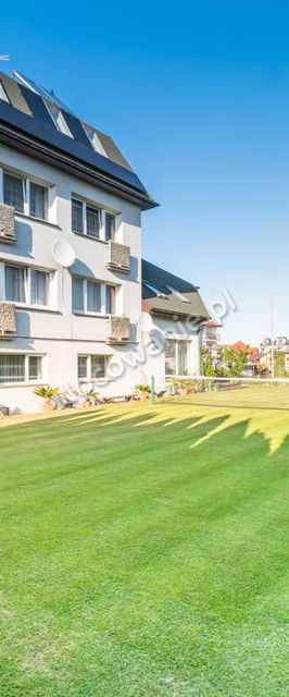 Pod zielonym daszkiem