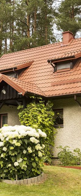 Domek Letniskowy u Irenki