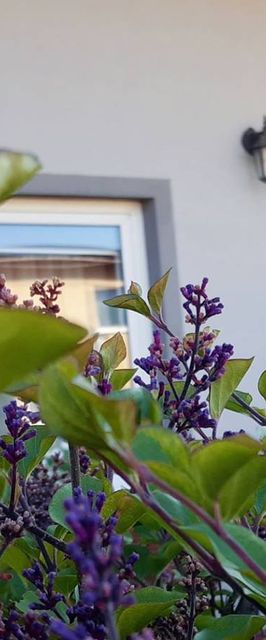 Pokoje Gościnne Mario i Domek Letniskowy