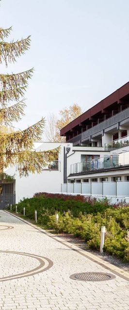 Primavera Jastrzębia Góra