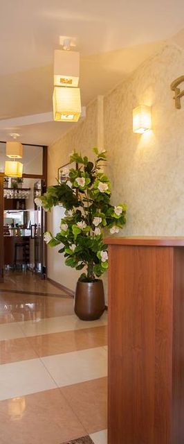 Willa Piano &amp; Domki Lido