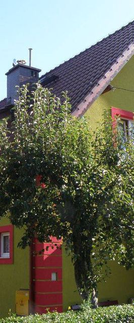 Szkolne Schronisko Młodzieżowe Wojtek