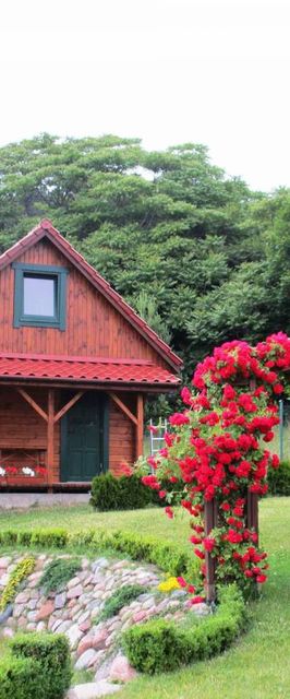 Domki Letniskowe Widok