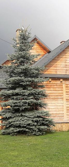 Dom Gościnny Umilanka