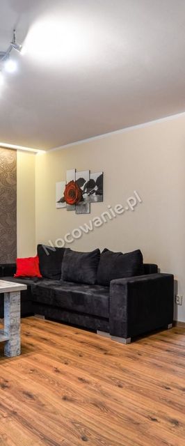 Apartamenty Ostryga