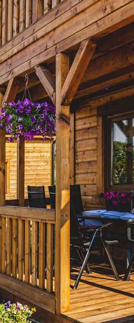 Słonecznikowe Wzgórze