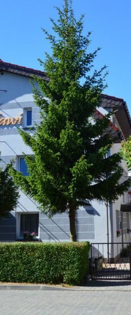 Pokoje Gościnne Mawi