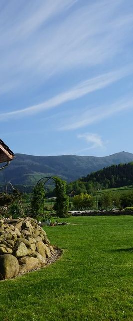 Słoneczny Bliźniak