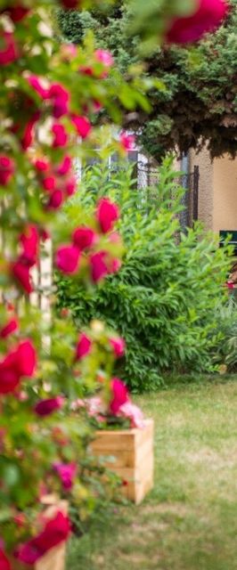 apartament do wynajęcia