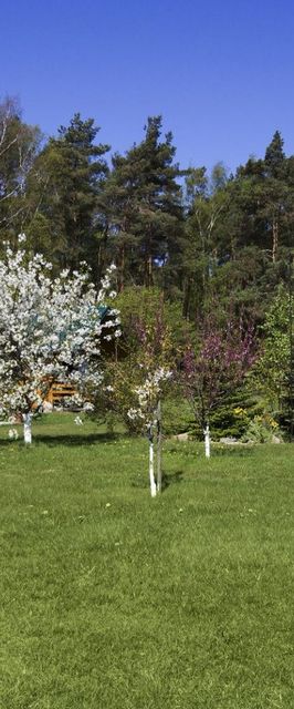 Domki Letniskowe Renata w Krynicy Morskiej