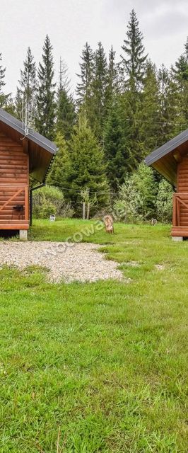 Camping Zubrzyca Górna