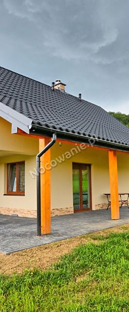 Na skraju bieszczadzkiego lasu