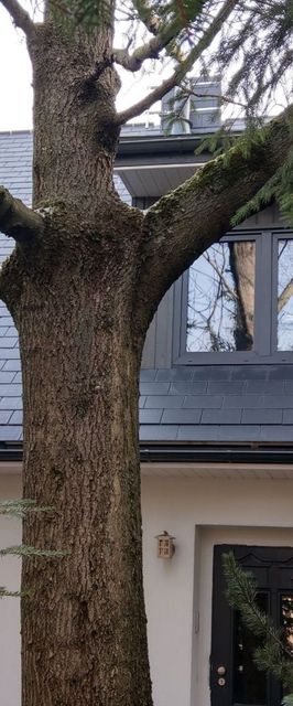 Apartament Martushka