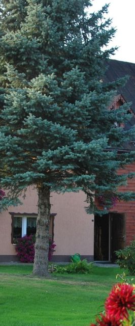 Pokoje u Beaty i Piotra 