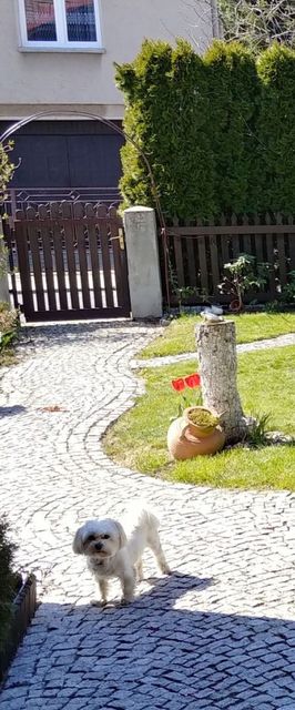 Pokoje i Apartament Zacisze