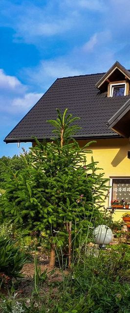 Pokoje Gościnne Lila