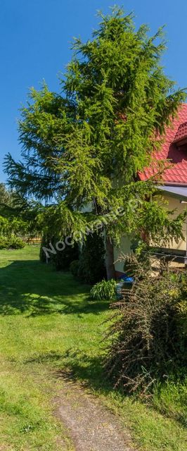 Pokoje Gościnne Iza