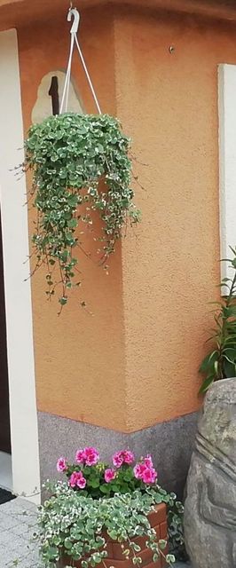 Pokoje Gościnne XAWIER