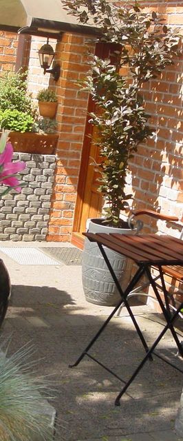 APARTAMENT LILIOWY,POKOJE,PRZYCZEPA KEMPI.. &amp; APARTAMENT GDAŃSK JELITK