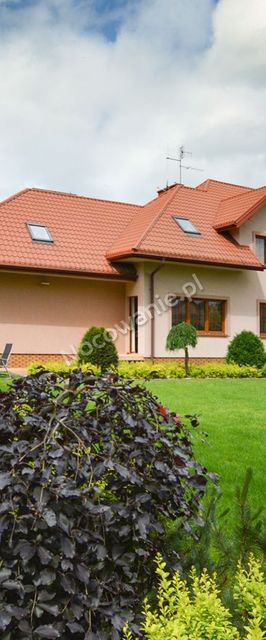 Pokoje do wynajęcia Akacja