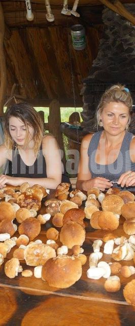 Pokoje Gościnne u Mirka i Dorotki