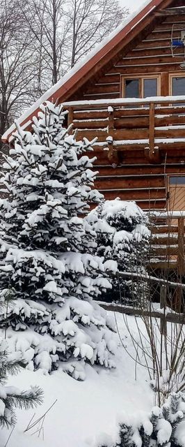 Domek Drewniany Z Kominkiem