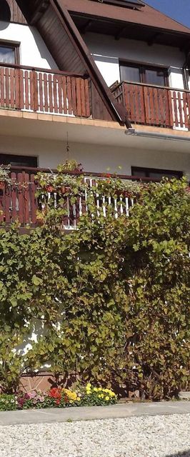 Willa Maria Nad Grajcarkiem