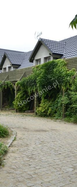 Agroturystyka Trzcinowy Zakątek