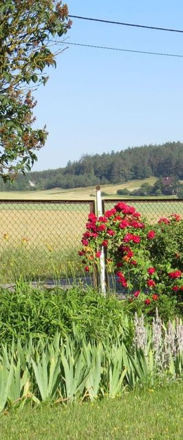 Agroturystyka u Danusi