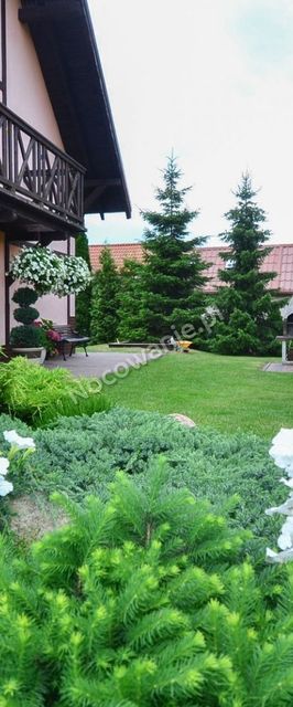 Wynajem pokoi Zośki