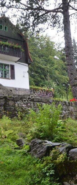 Willa Górski Pyszałek