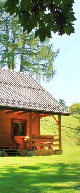 Domek Pod Modrzewiem 