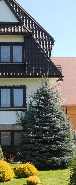 Agroturystyka u Blaszyńskich